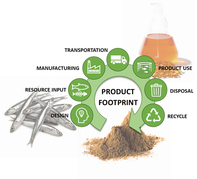 Life Cycle Assessment (LCA) IFFO The Marine Ingredients Organisation